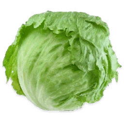 Iceberg Lettuce Logo