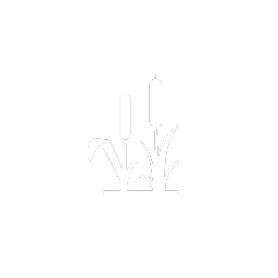 Herbe de Elephant-Semences Logo