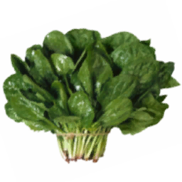 Spinach Logo