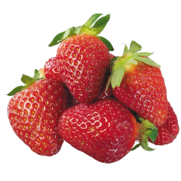 Erdbeeren Logo