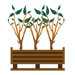 Treesaplings Logo
